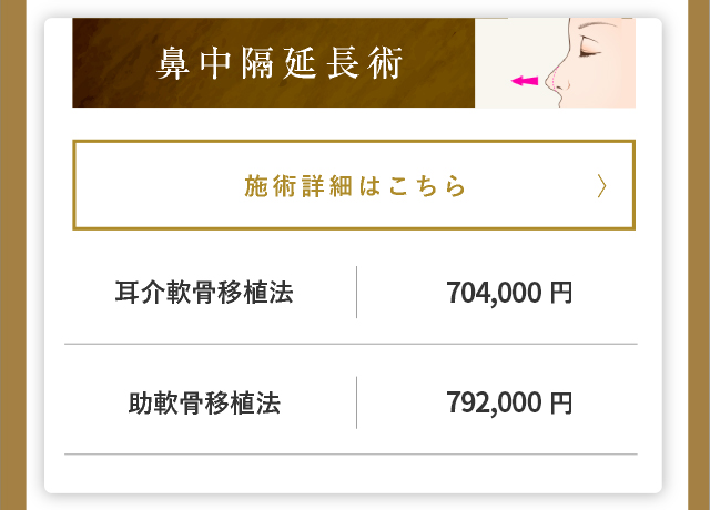 鼻中隔延長術